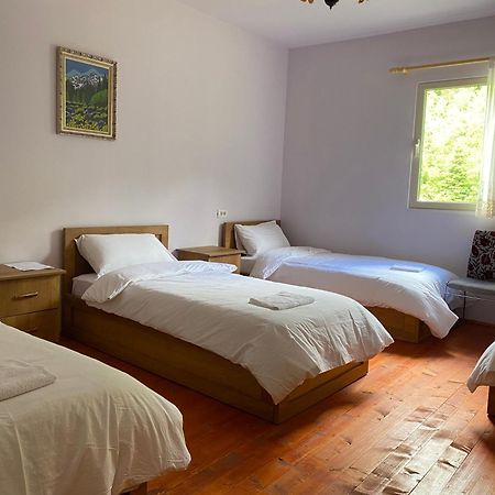 Vita Guesthouse Bajram Curri Ngoại thất bức ảnh